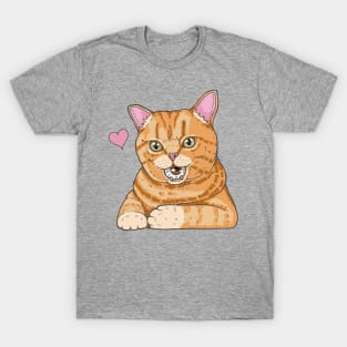 Cat Got Your Eye T-Shirt